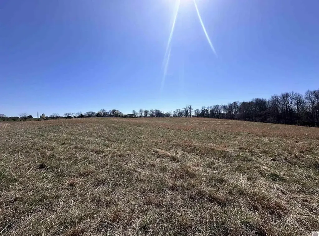 2224 Golo Road Mayfield KY 42066