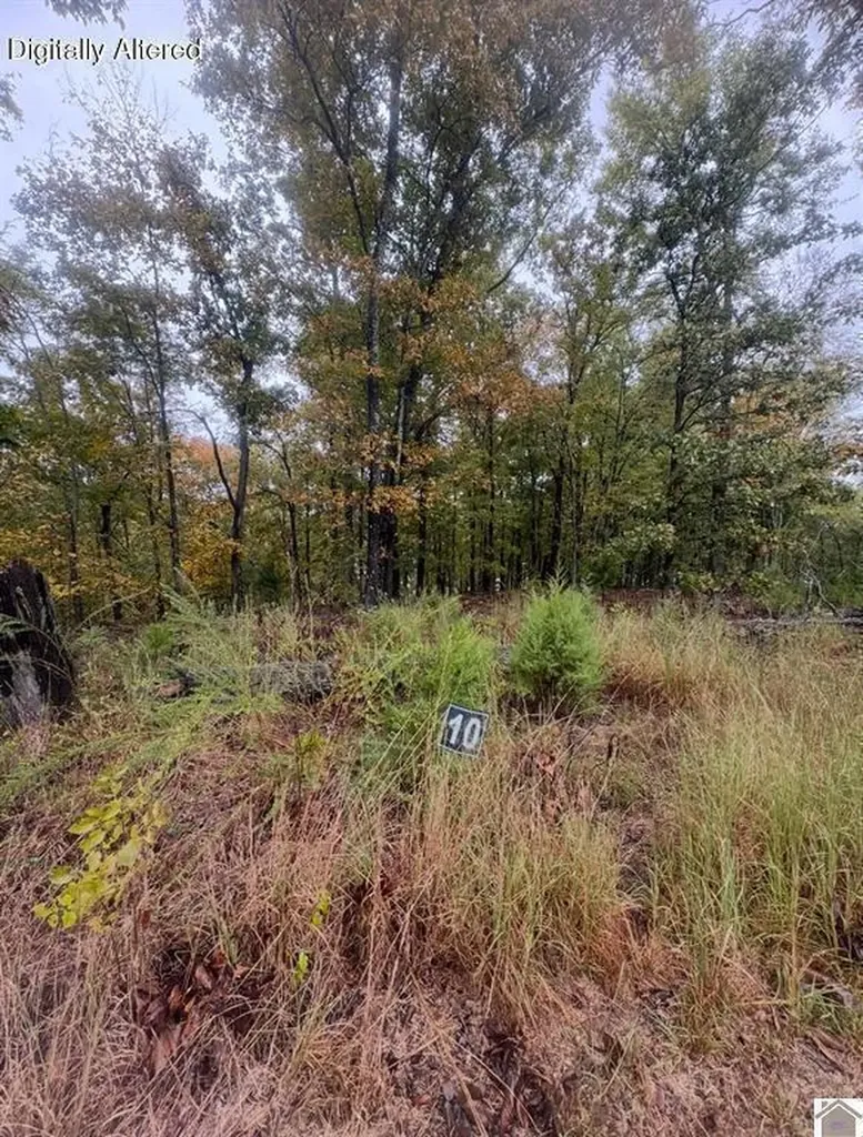200 Tow Lane Murray KY 42071