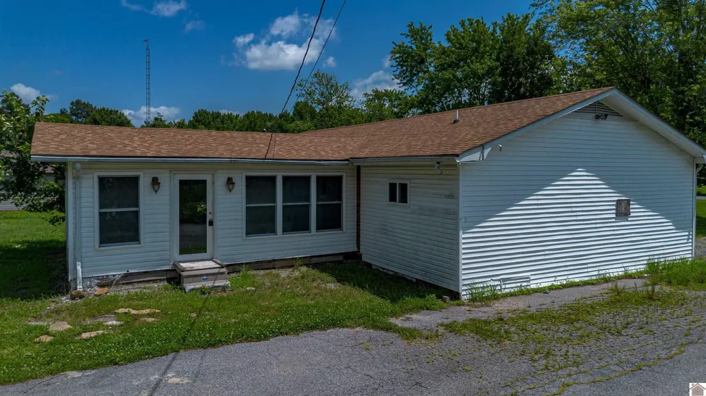 312 Anita Lane Ledbetter KY 42058