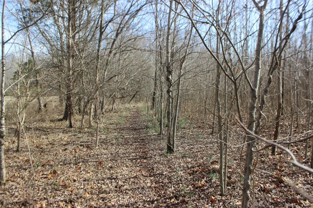 0 Blackburn Church Road Marion KY 42064