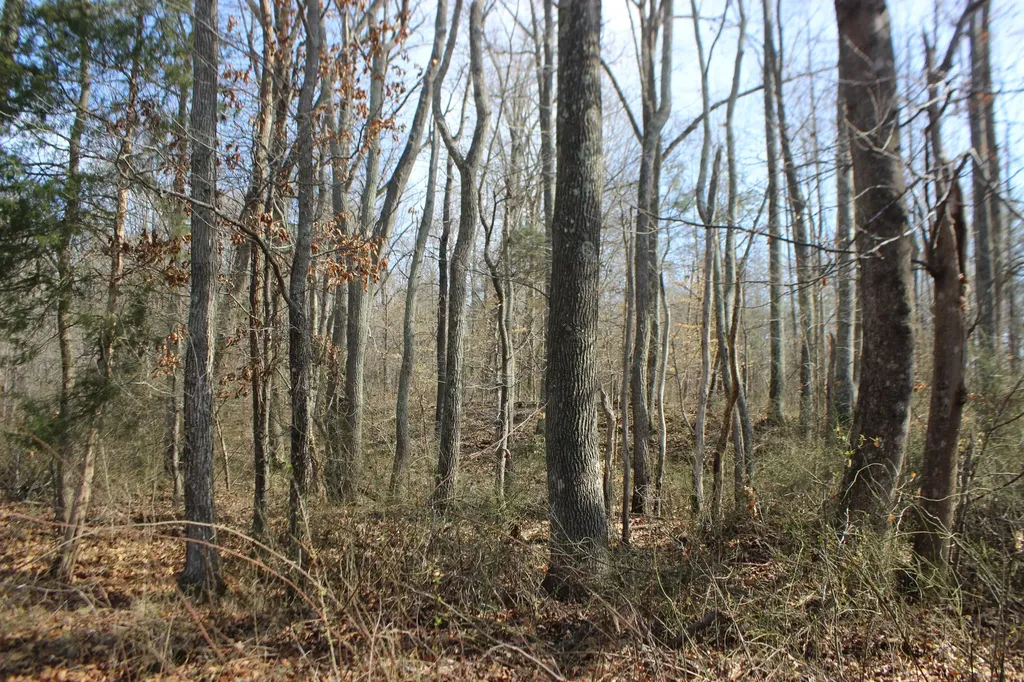 0 Blackburn Church Road Marion KY 42064