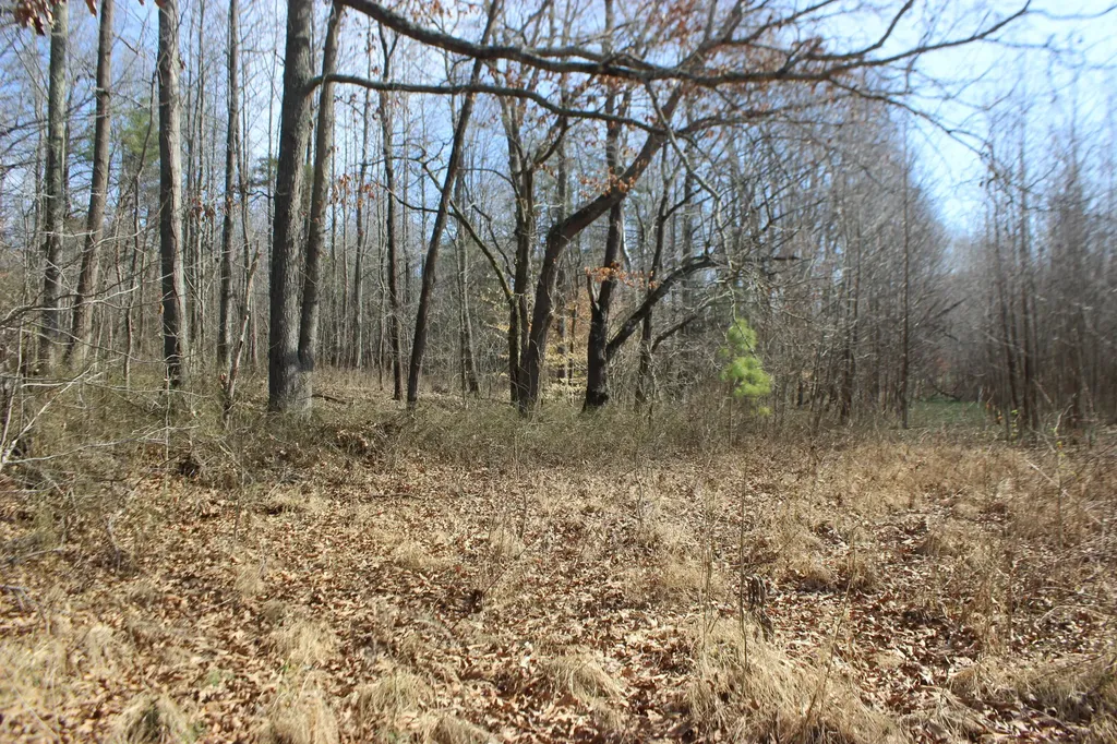 0 Blackburn Church Road Marion KY 42064