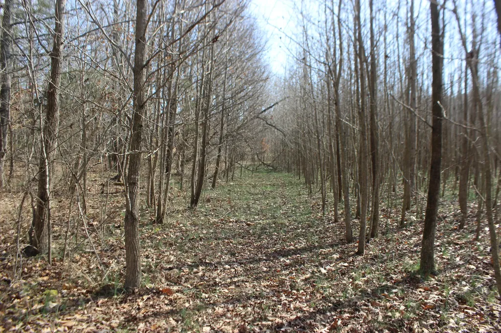0 Blackburn Church Road Marion KY 42064
