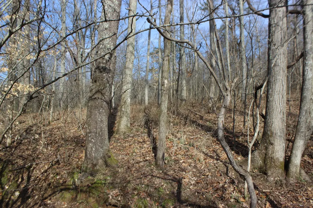 0 Blackburn Church Road Marion KY 42064