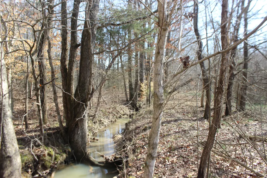 0 Blackburn Church Road Marion KY 42064