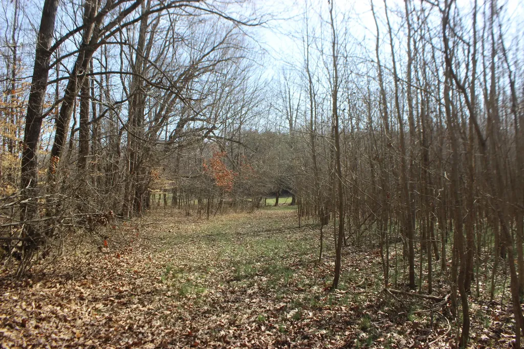 0 Blackburn Church Road Marion KY 42064