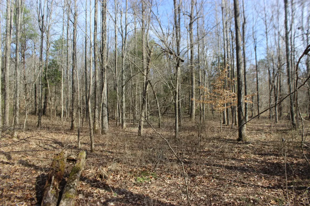 0 Blackburn Church Road Marion KY 42064