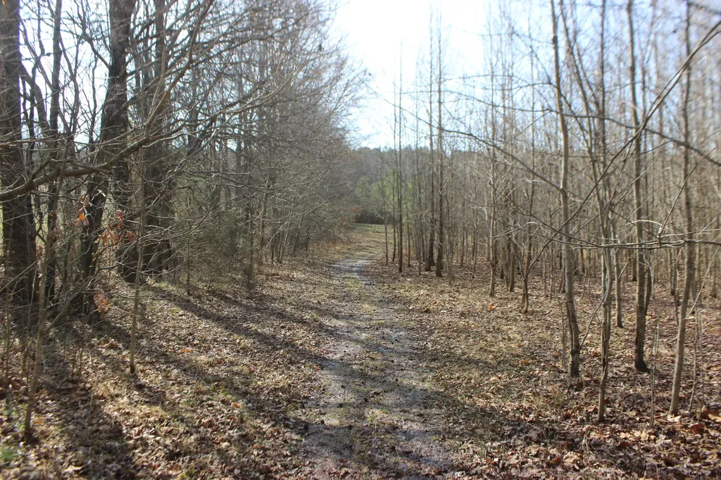 0 Blackburn Church Road Marion KY 42064