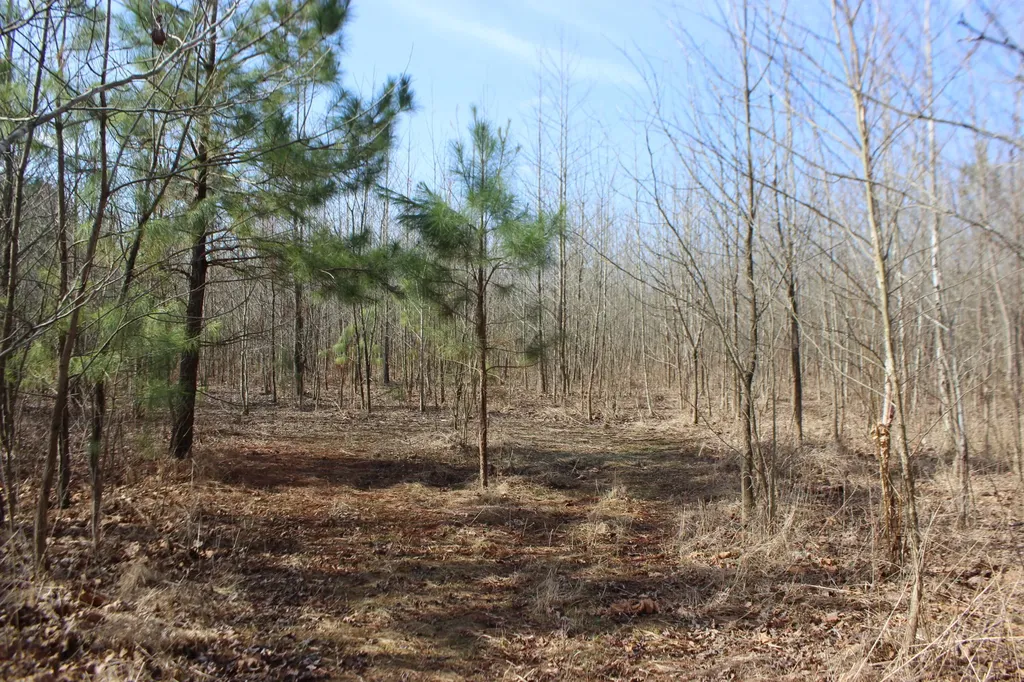 0 Blackburn Church Road Marion KY 42064