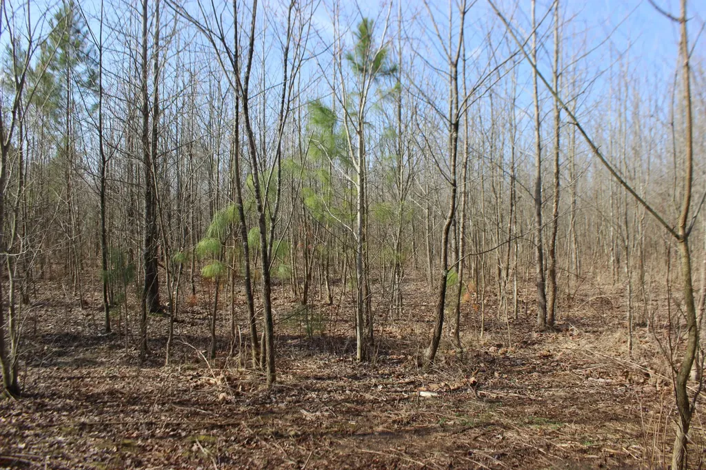 0 Blackburn Church Road Marion KY 42064
