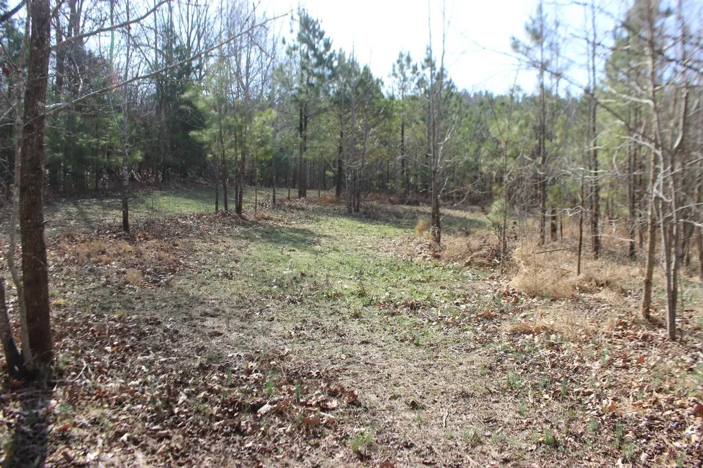 0 Blackburn Church Road Marion KY 42064