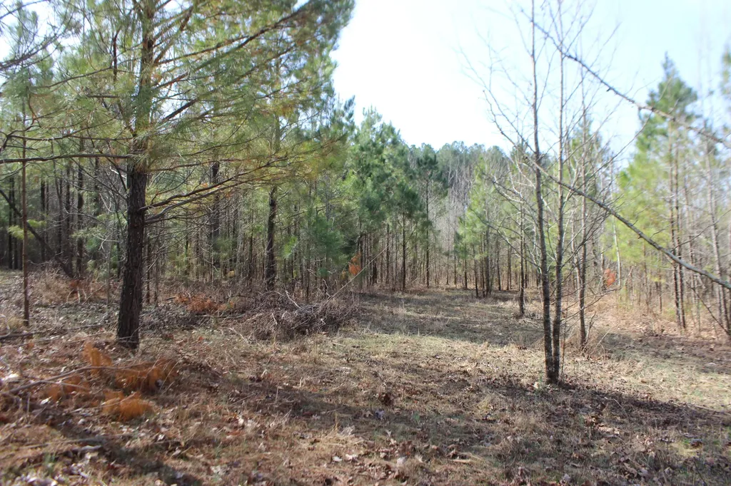 0 Blackburn Church Road Marion KY 42064
