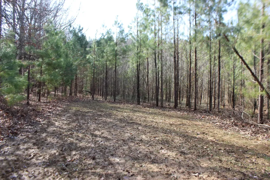 0 Blackburn Church Road Marion KY 42064
