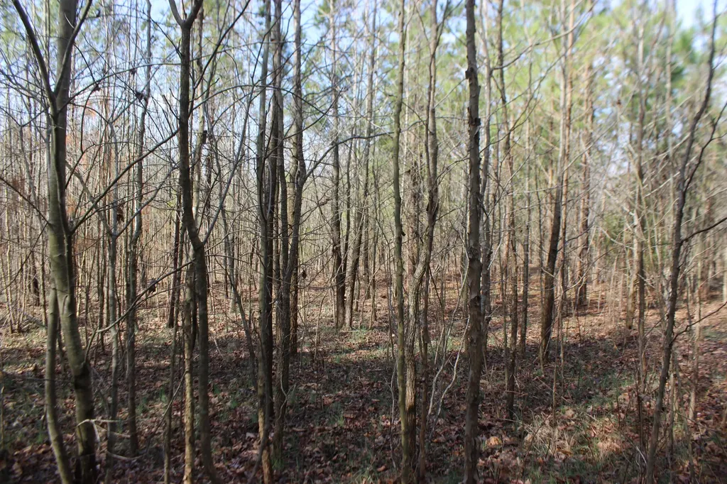 0 Blackburn Church Road Marion KY 42064