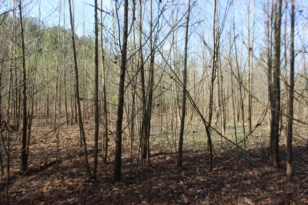 0 Blackburn Church Road Marion KY 42064
