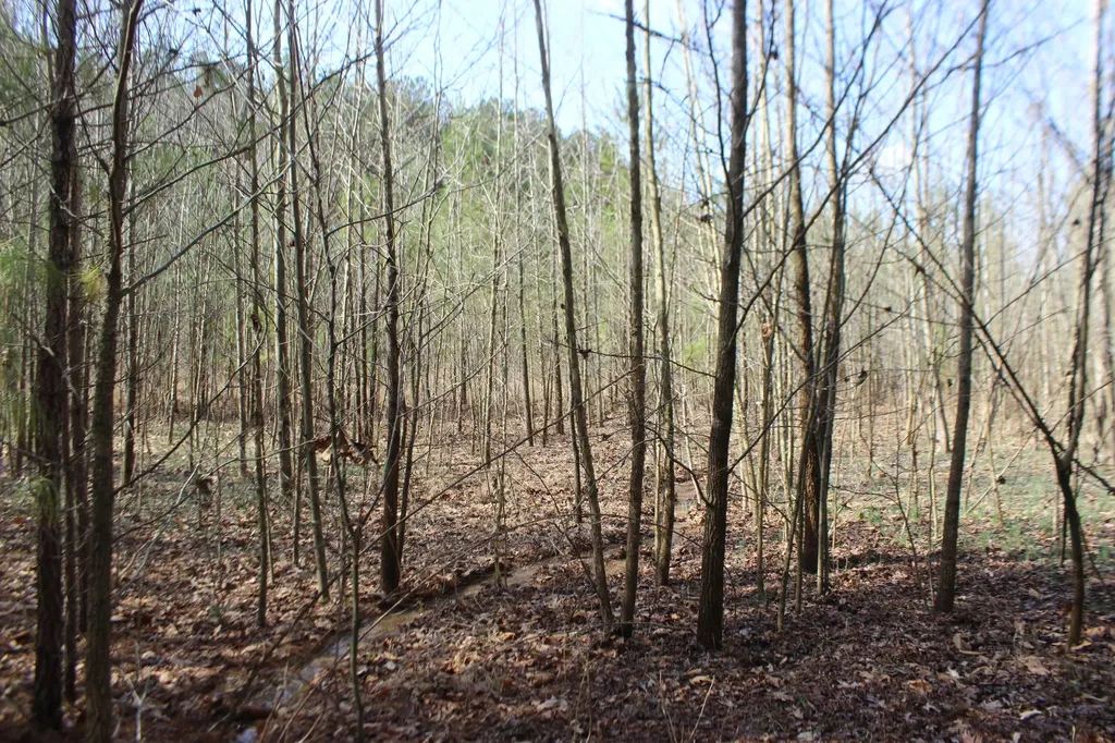 0 Blackburn Church Road Marion KY 42064