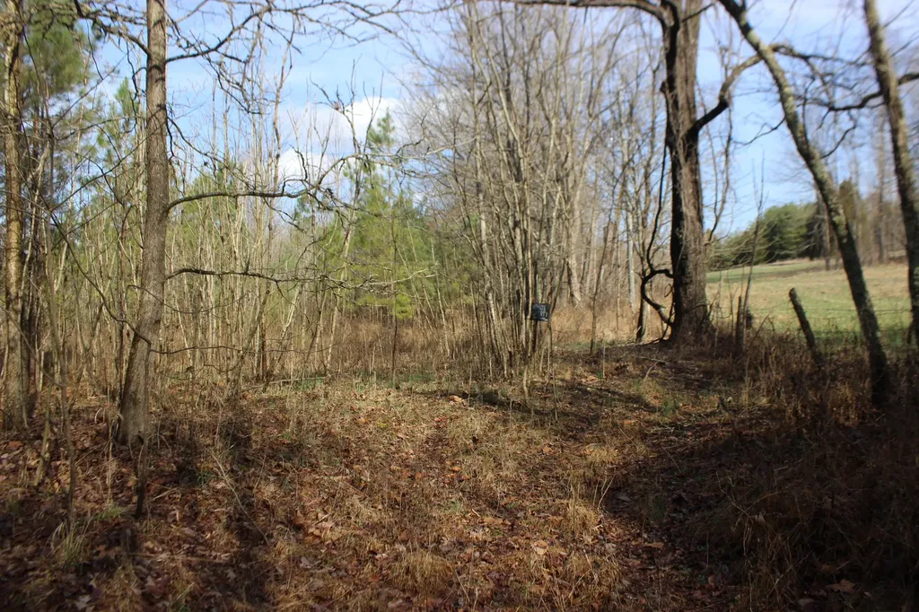 0 Blackburn Church Road Marion KY 42064