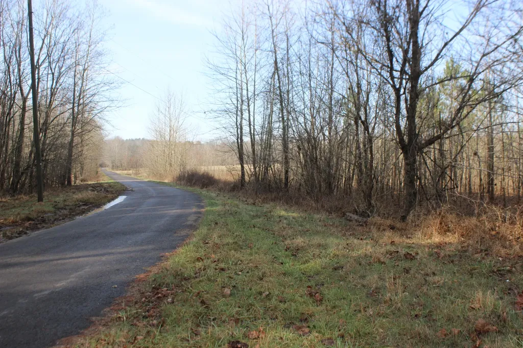 0 Blackburn Church Road Marion KY 42064