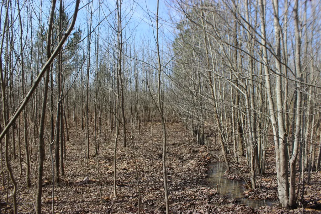 0 Blackburn Church Road Marion KY 42064