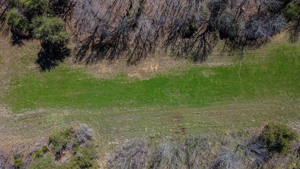 0 Edwards Road Princeton KY 42445