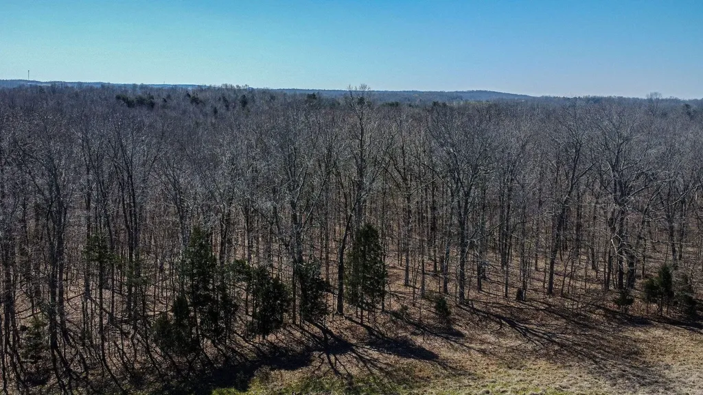 0 Edwards Road Princeton KY 42445