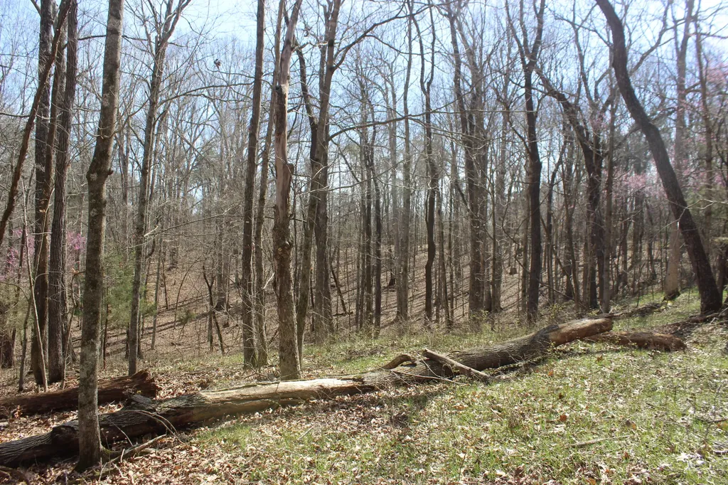 0 Edwards Road Princeton KY 42445