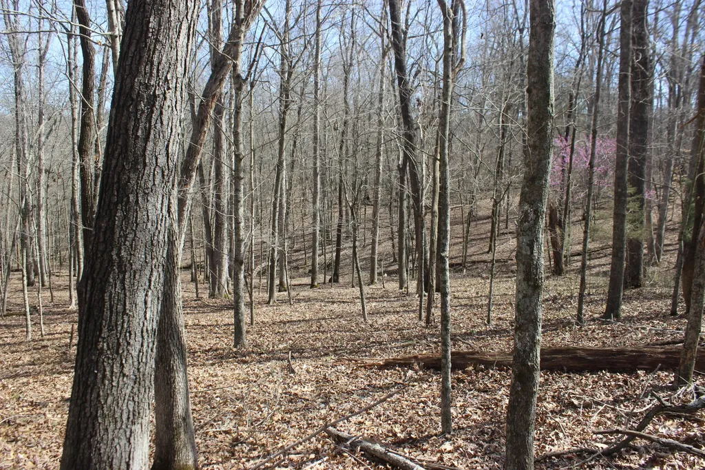 0 Edwards Road Princeton KY 42445