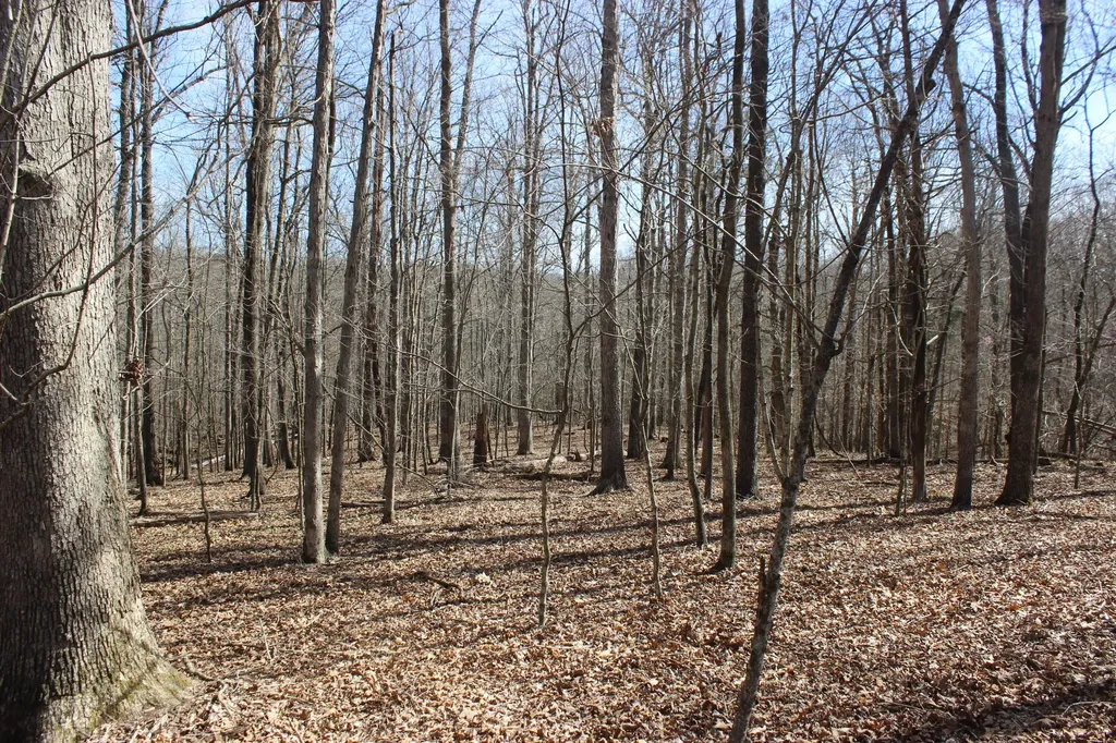 0 Edwards Road Princeton KY 42445