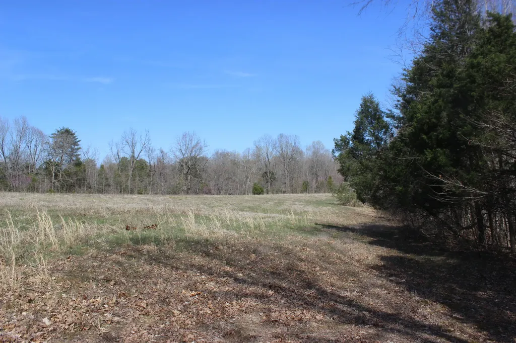 0 Edwards Road Princeton KY 42445