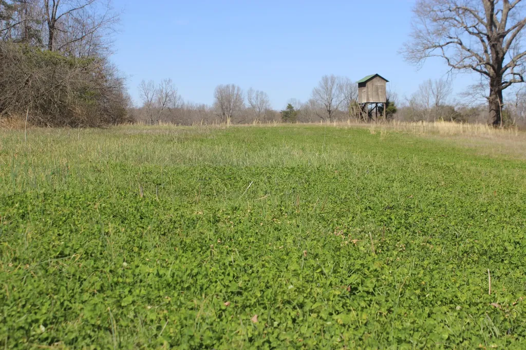 0 Edwards Road Princeton KY 42445