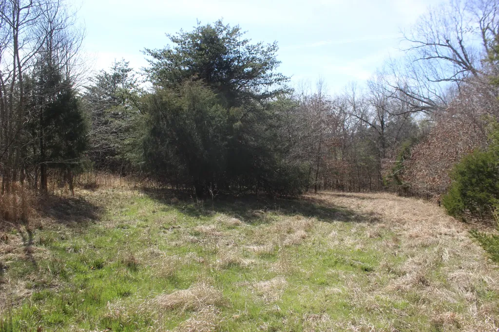 0 Edwards Road Princeton KY 42445