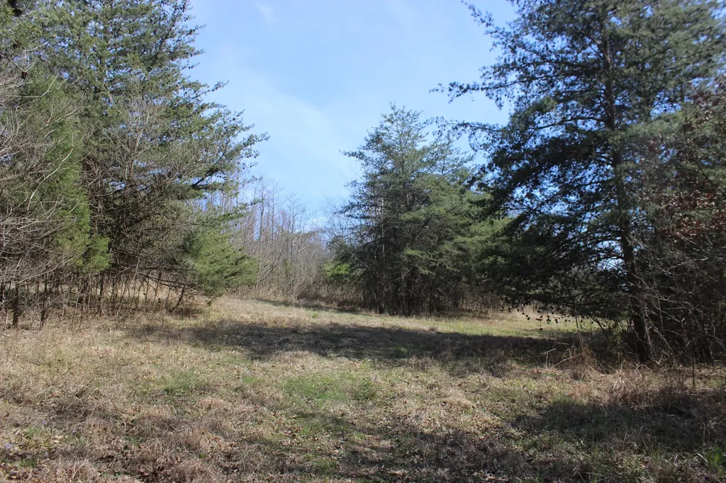 0 Edwards Road Princeton KY 42445