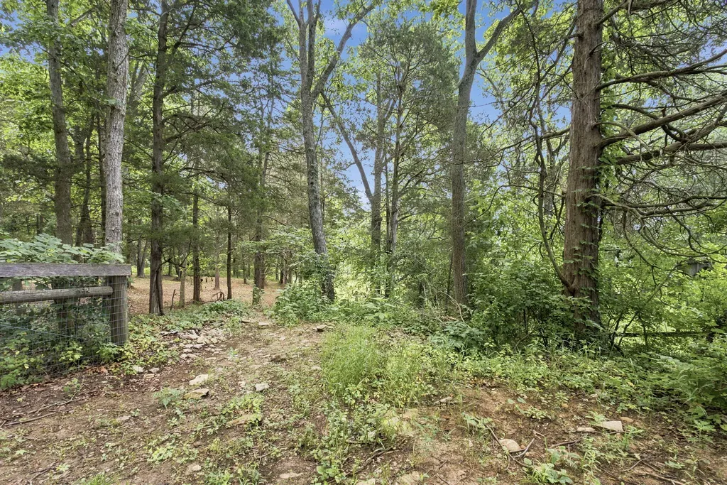 3245 State Highway 1284 Cynthiana KY 41031