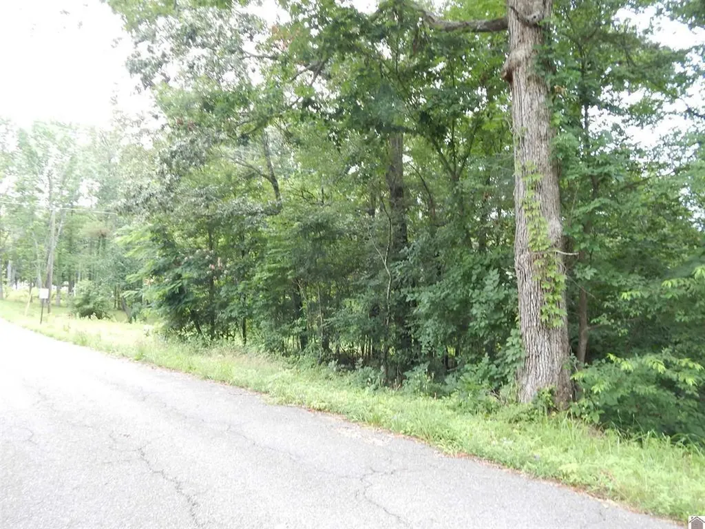 11250 E 68 Highway Benton KY 42025
