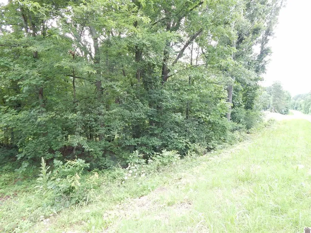 11250 E 68 Highway Benton KY 42025