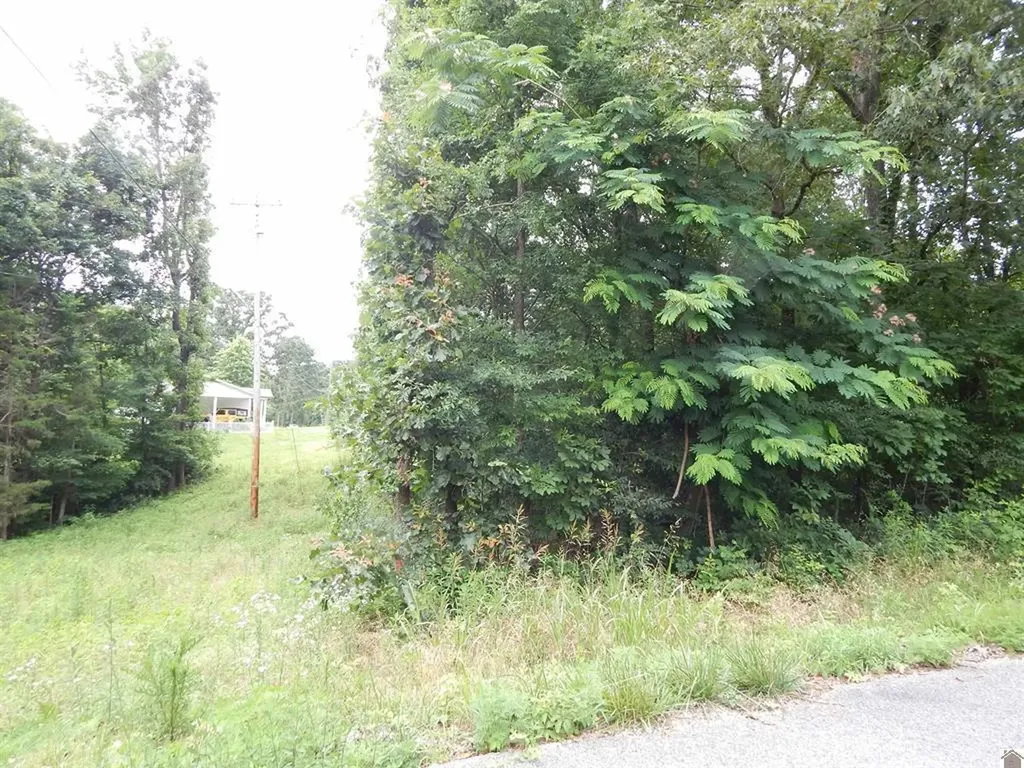 11250 E 68 Highway Benton KY 42025