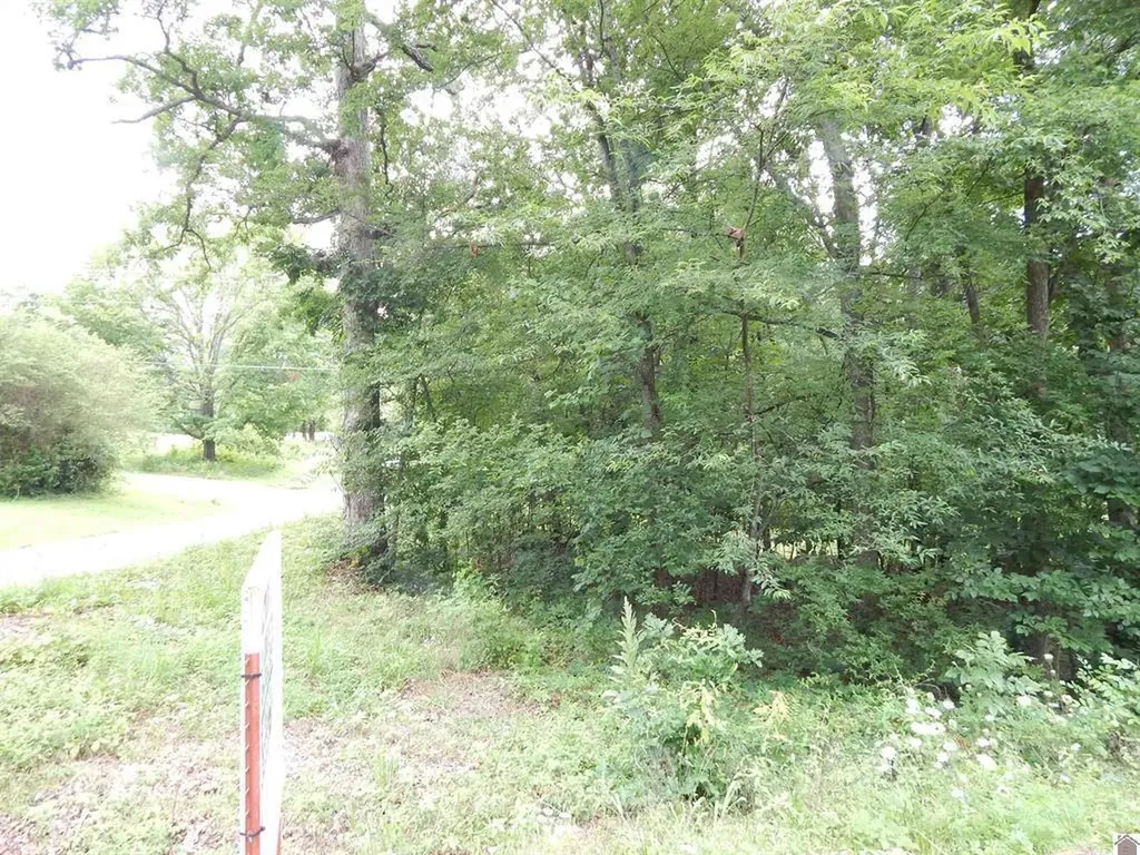 11250 E 68 Highway Benton KY 42025