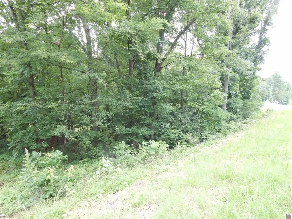 11250 E 68 Highway Benton KY 42025