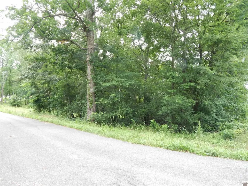 11250 E 68 Highway Benton KY 42025