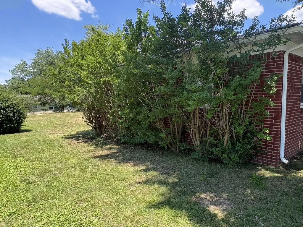 603 Central Avenue Mayfield KY 42066