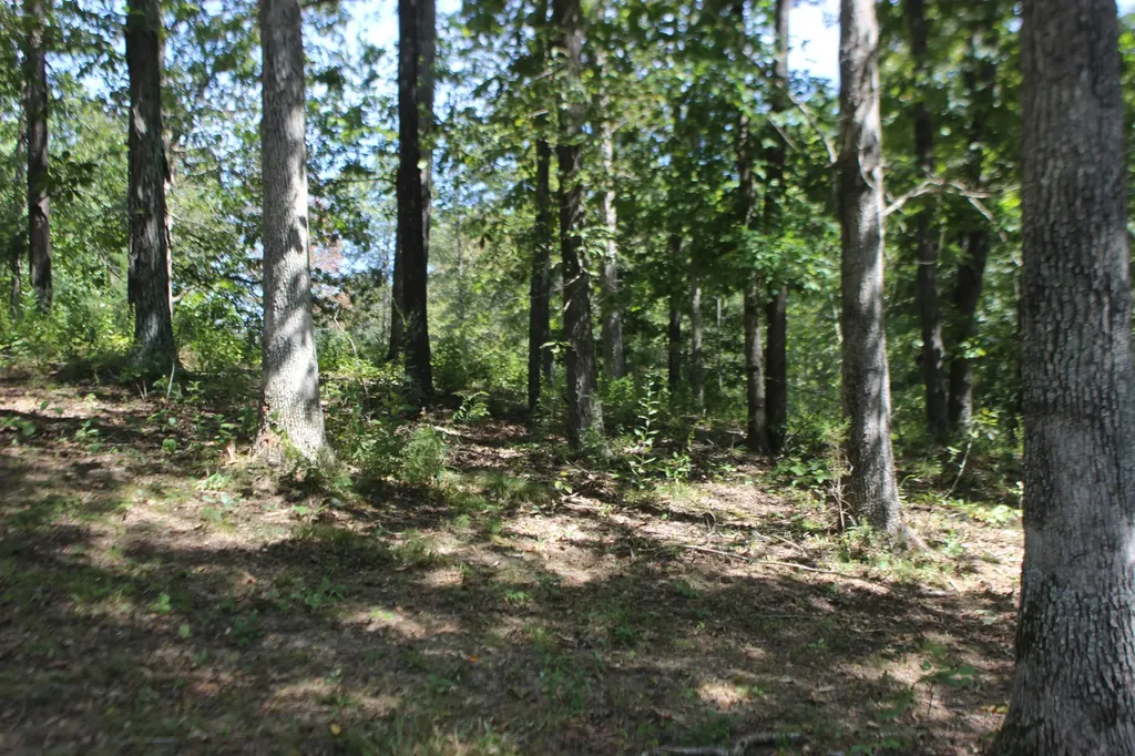 Lot 13 Fern Creek Lane Benton KY 42025