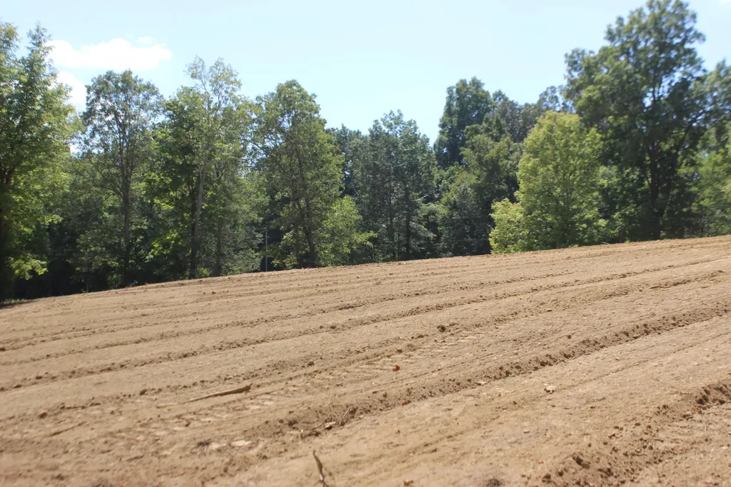 Lot 1 Fern Creek Lane Benton KY 42025