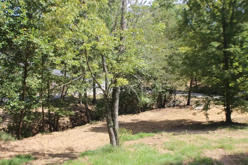 Lot 1 Fern Creek Lane Benton KY 42025