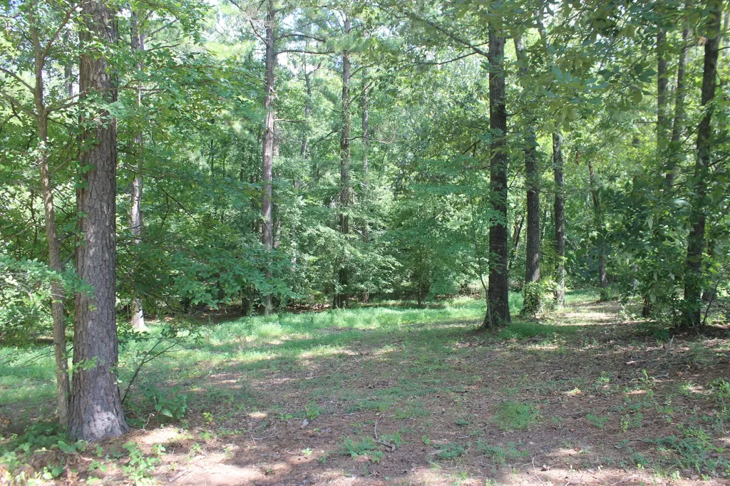 15 Harborview Lane Benton KY 42025