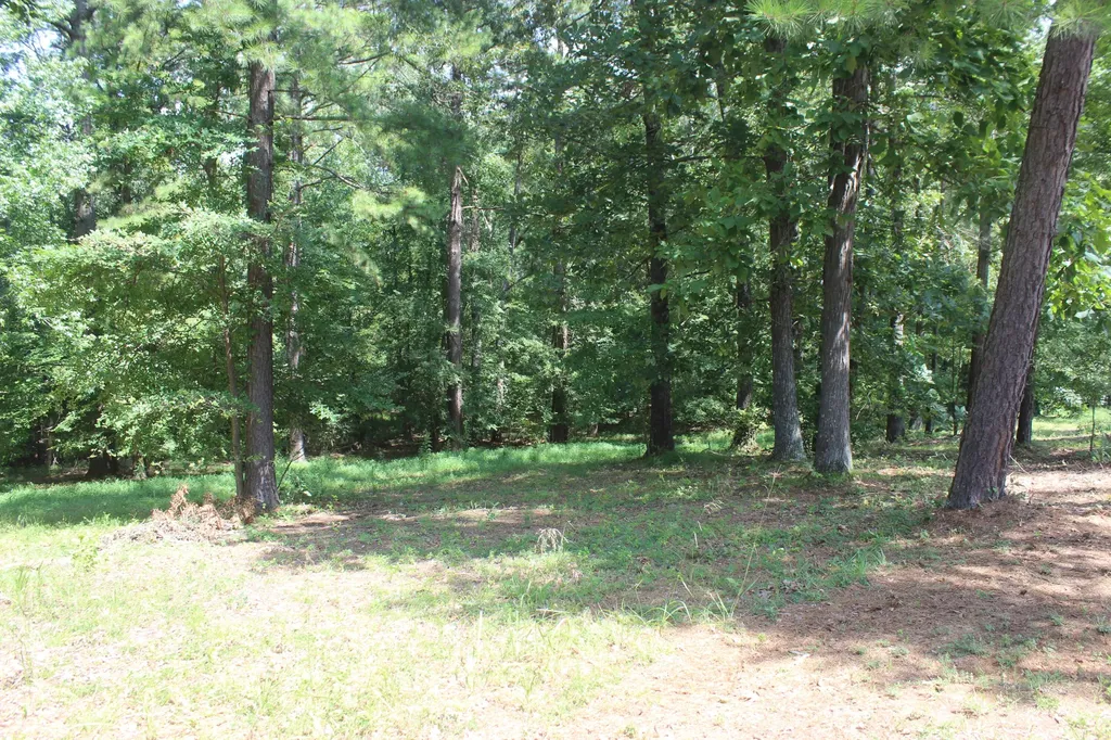 15 Harborview Lane Benton KY 42025