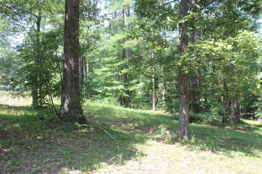15 Harborview Lane Benton KY 42025