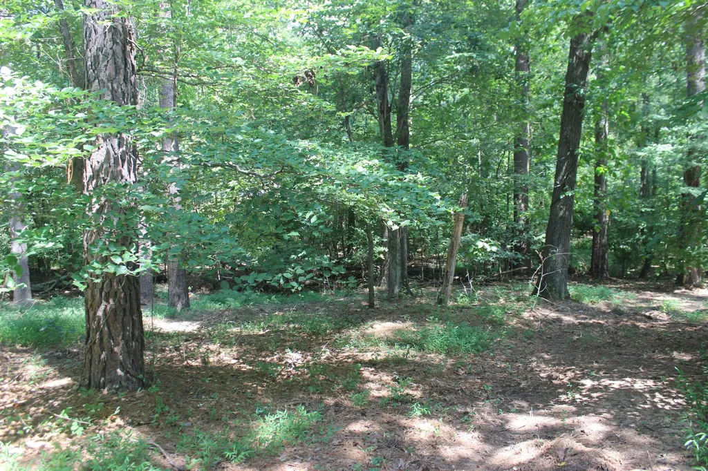 15 Harborview Lane Benton KY 42025