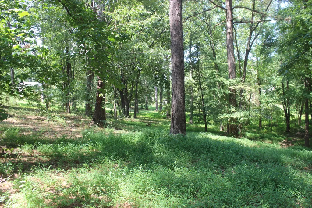 15 Harborview Lane Benton KY 42025