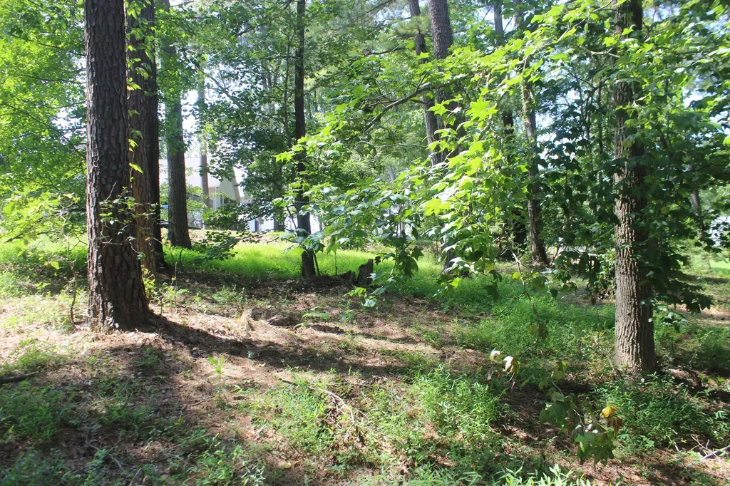 15 Harborview Lane Benton KY 42025