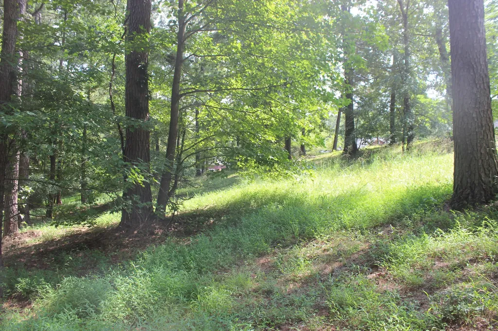 15 Harborview Lane Benton KY 42025